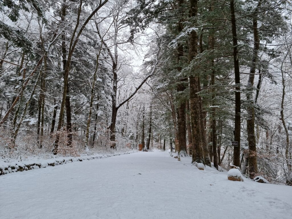 pyeongchang