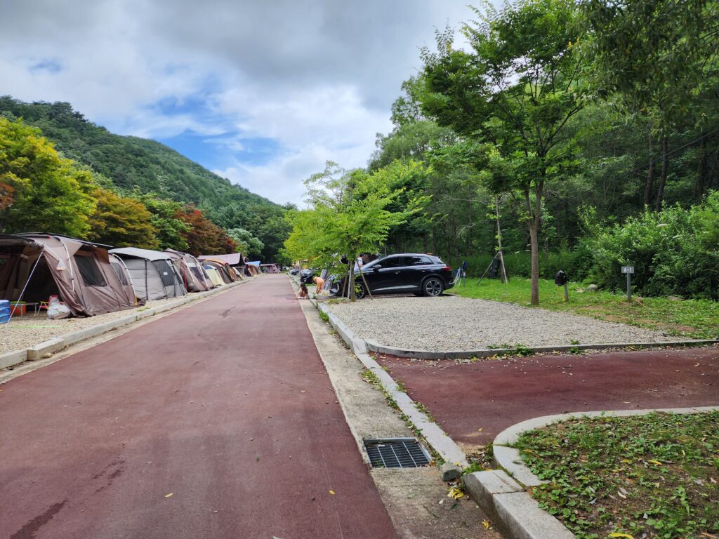 Paved road and parking area at Gyebangsan Auto Camping Ground surrounded by green trees.