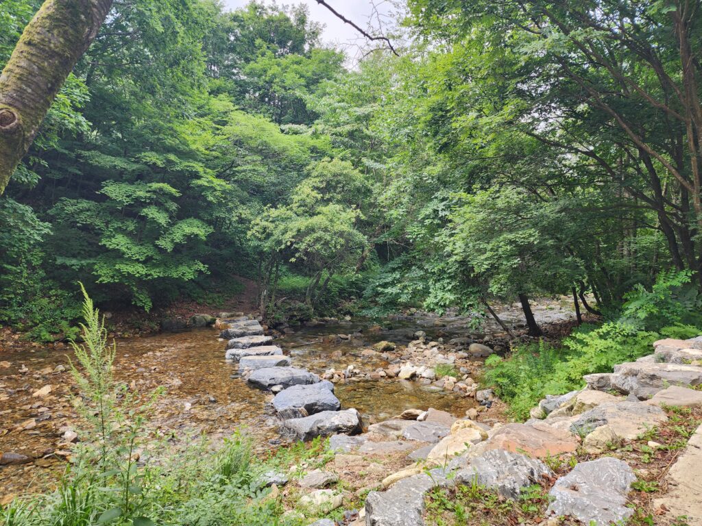 Small stepping stone bridge built across a shallow forest creek in Gyebangsan.