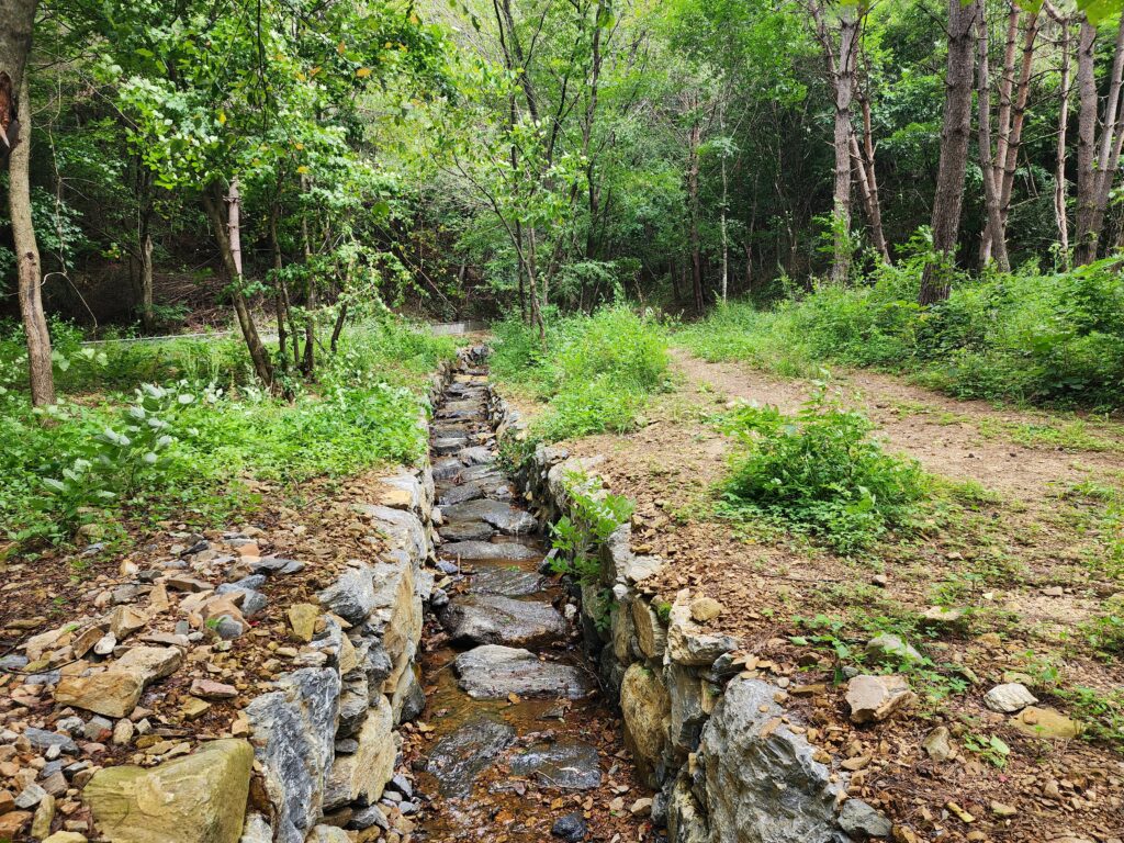 Stone-lined stream pathway winding through a peaceful forested hiking trail.