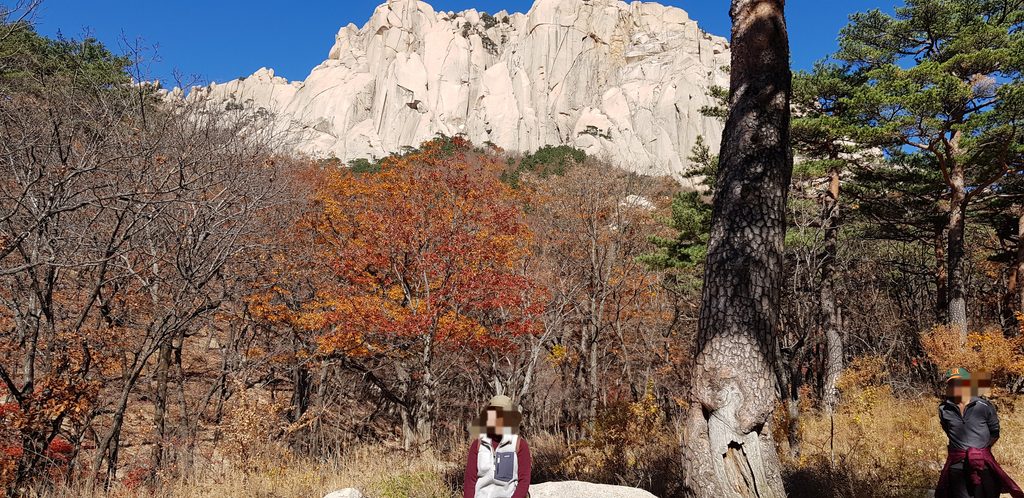 "Seoraksan rock formation, rocky peak and autumn forest, nature photography, South Korea hiking."
