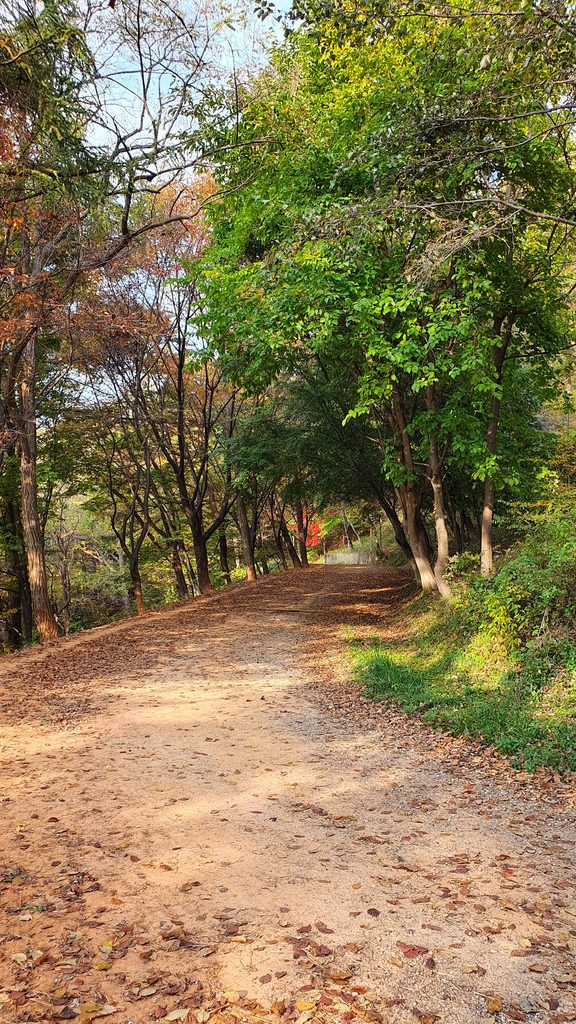 Gyejoksan Red Clay Trail