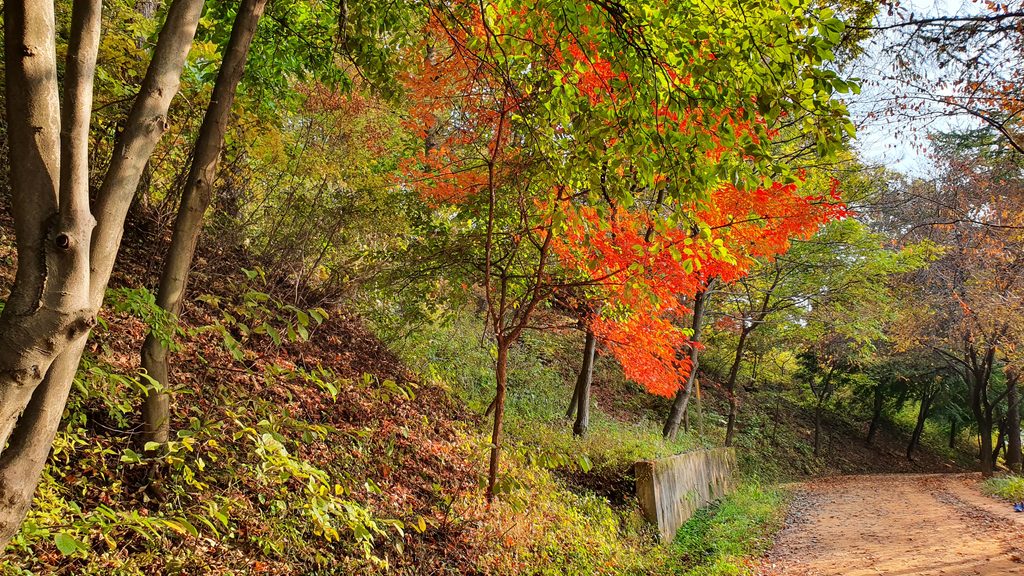 Gyejoksan Red Clay Trail