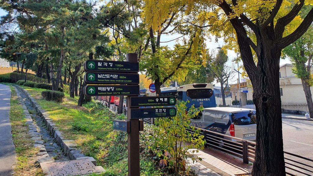 Namsan Tower Autumn Foliage