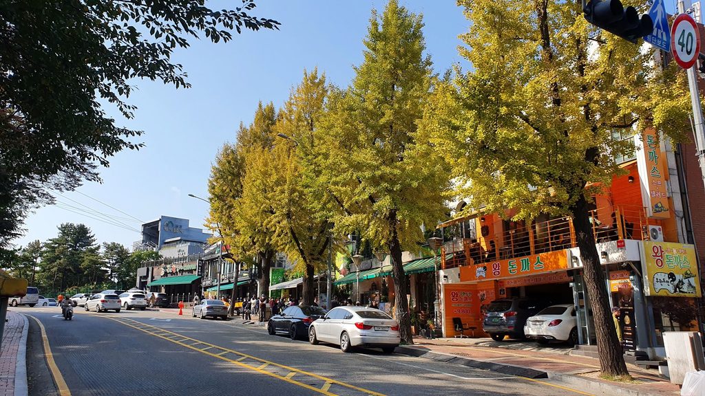 Namsan Tower Autumn Foliage Namsan Cable Car